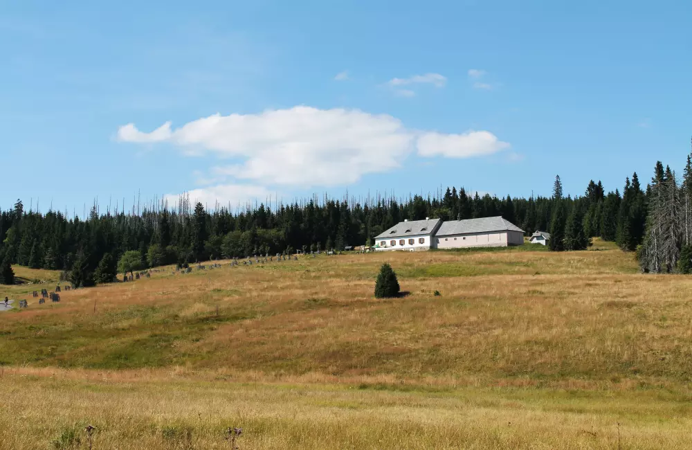 Březník
